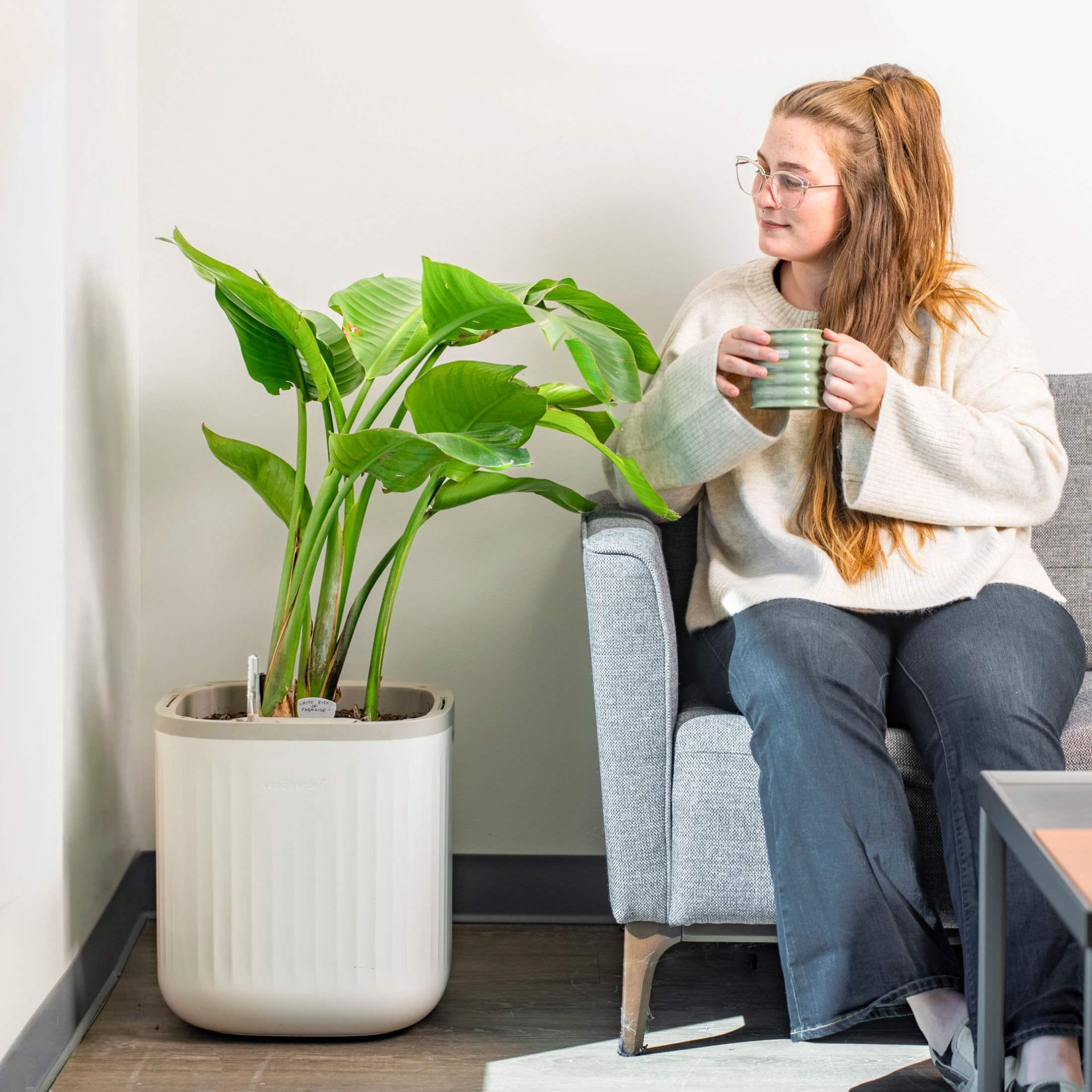 EZ Self-Watering Home Planter - Image 14