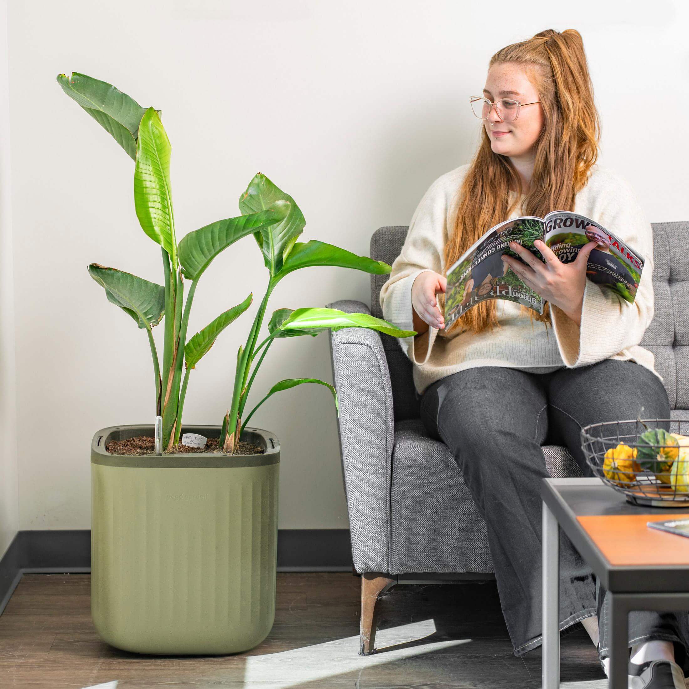 EZ Self-Watering Home Planter - Image 15