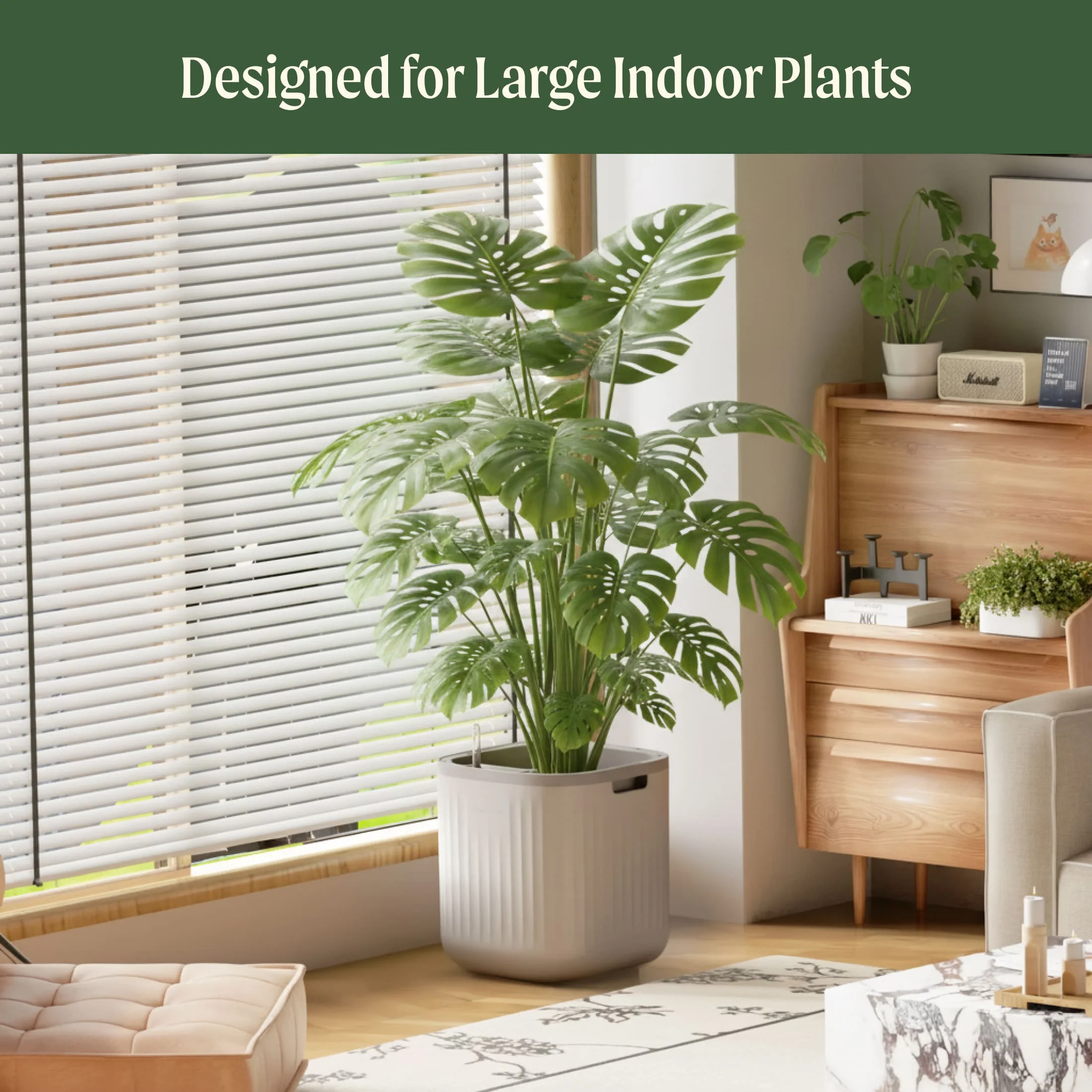 EZ Self-Watering Home Planter - Image 23