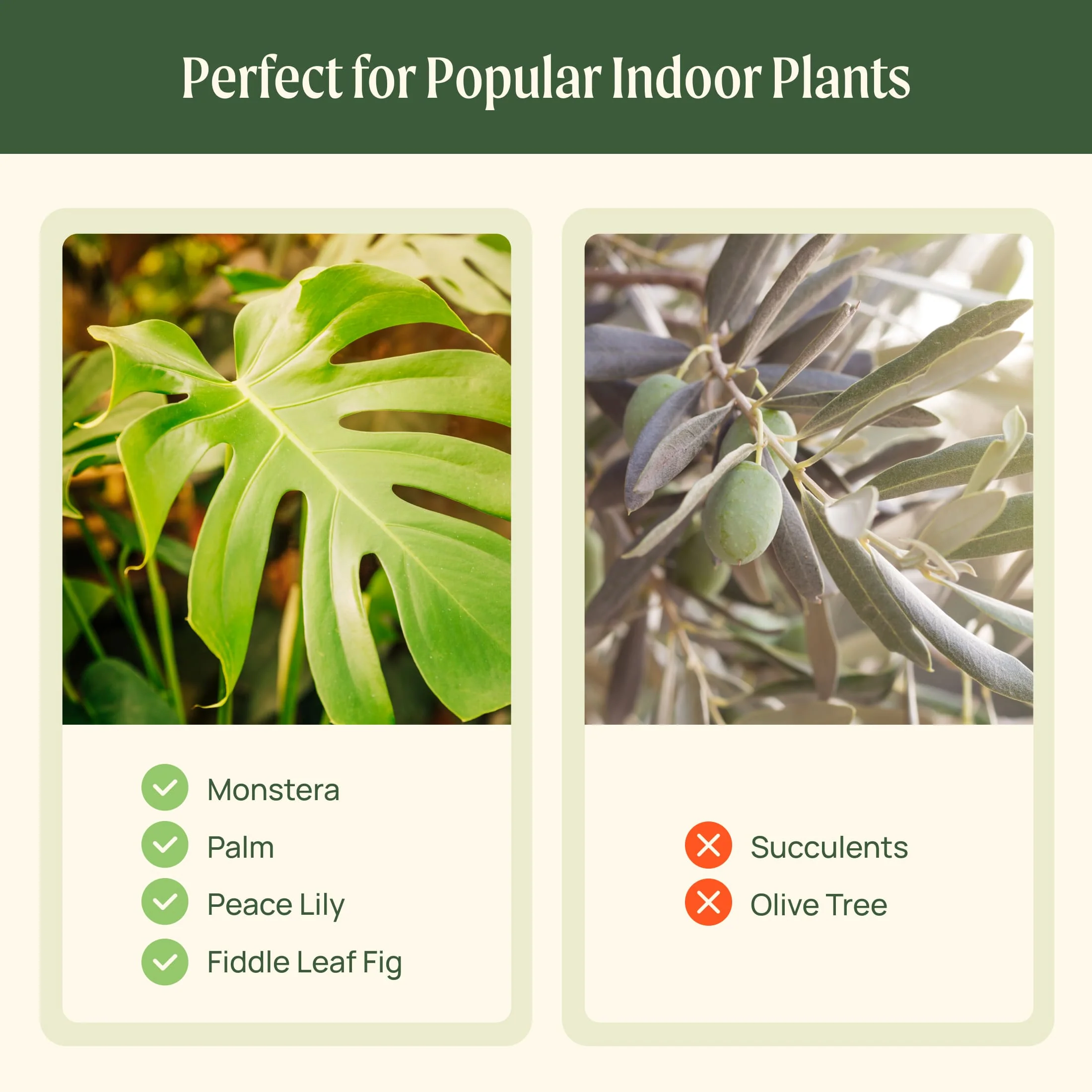 EZ Self-Watering Home Planter - Image 24