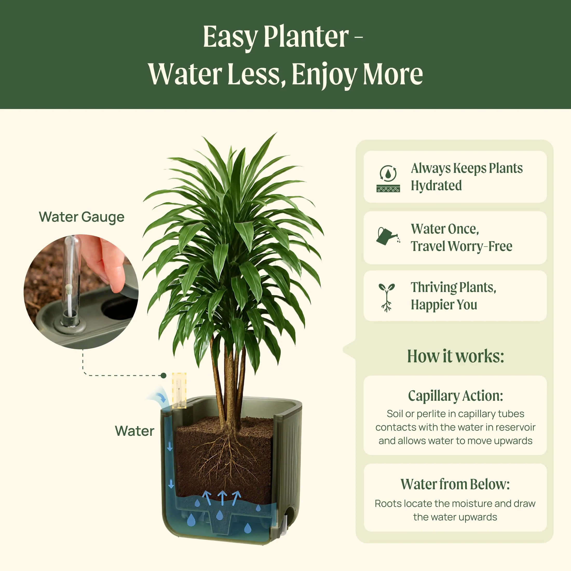 EZ Self-Watering Home Planter - Image 30