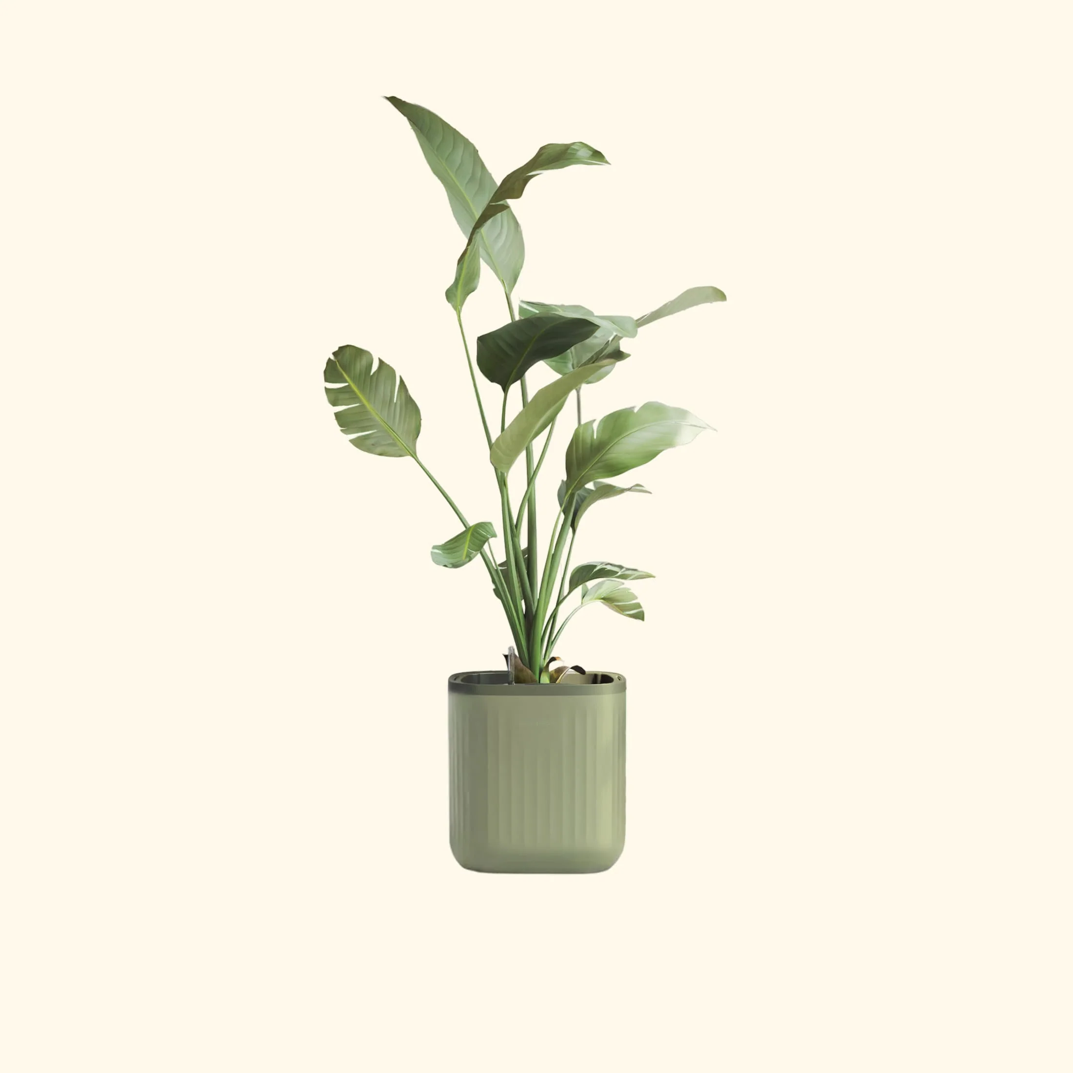 EZ Self-Watering Home Planter - Image 31