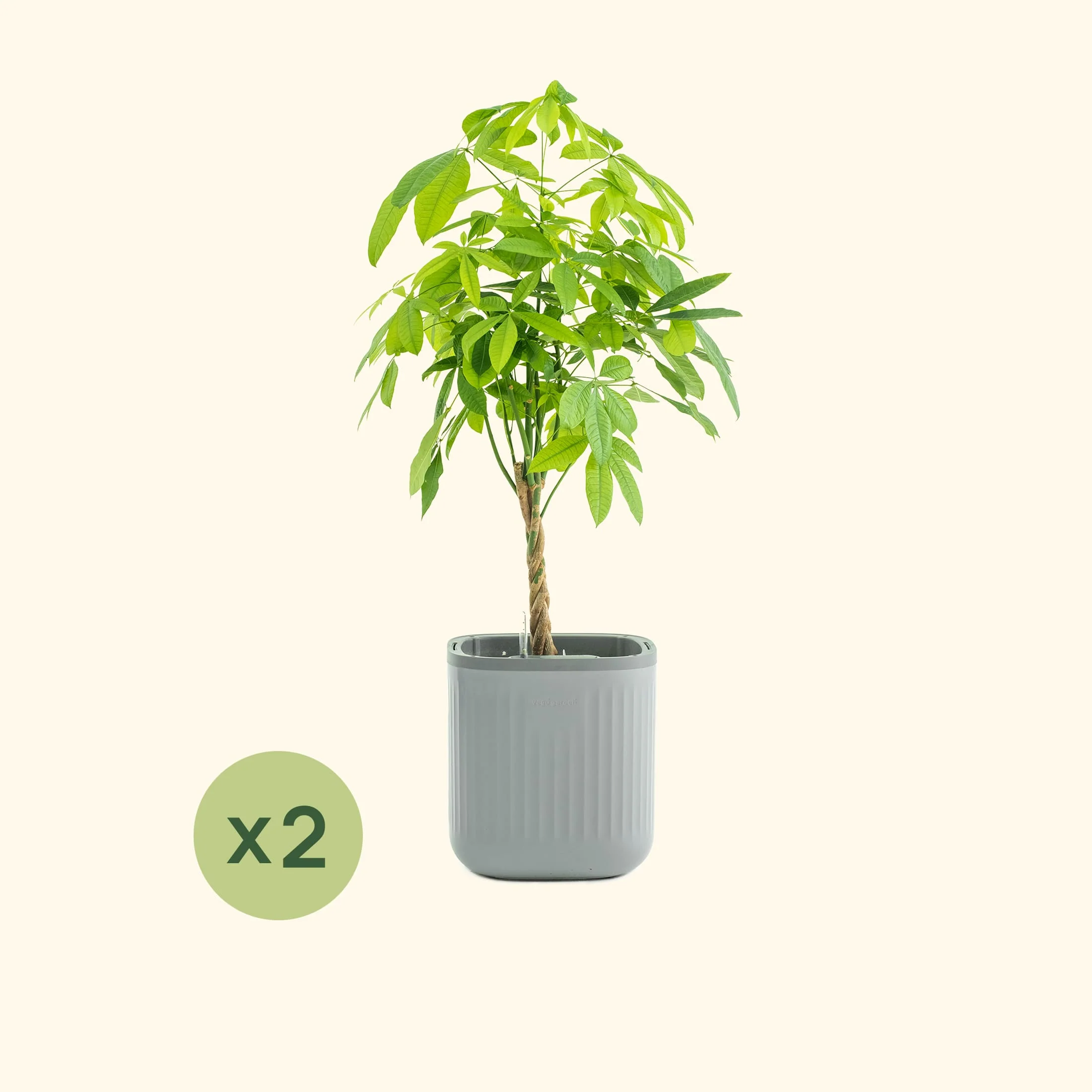 EZ Self-Watering Home Planter - Image 32