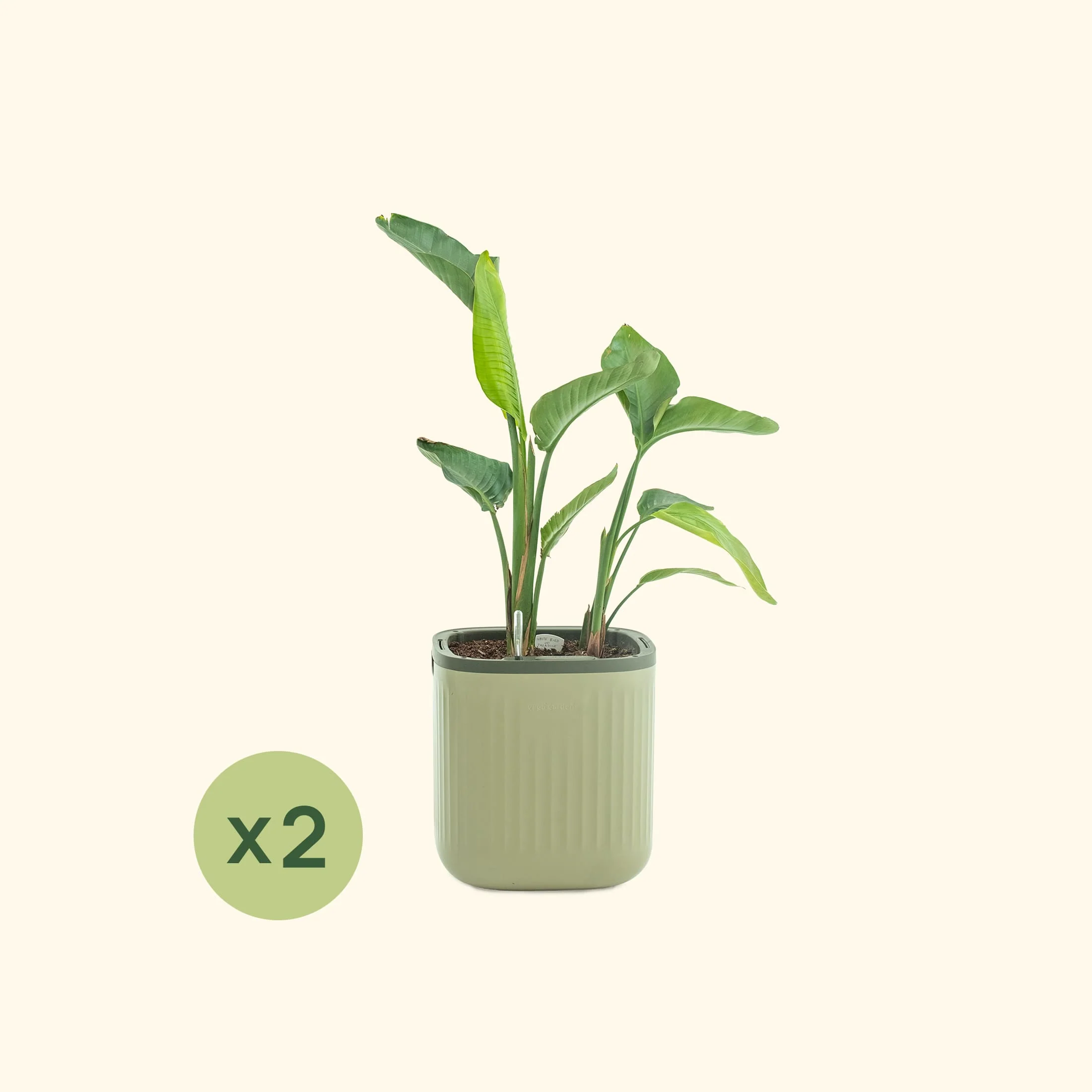 EZ Self-Watering Home Planter - Image 33