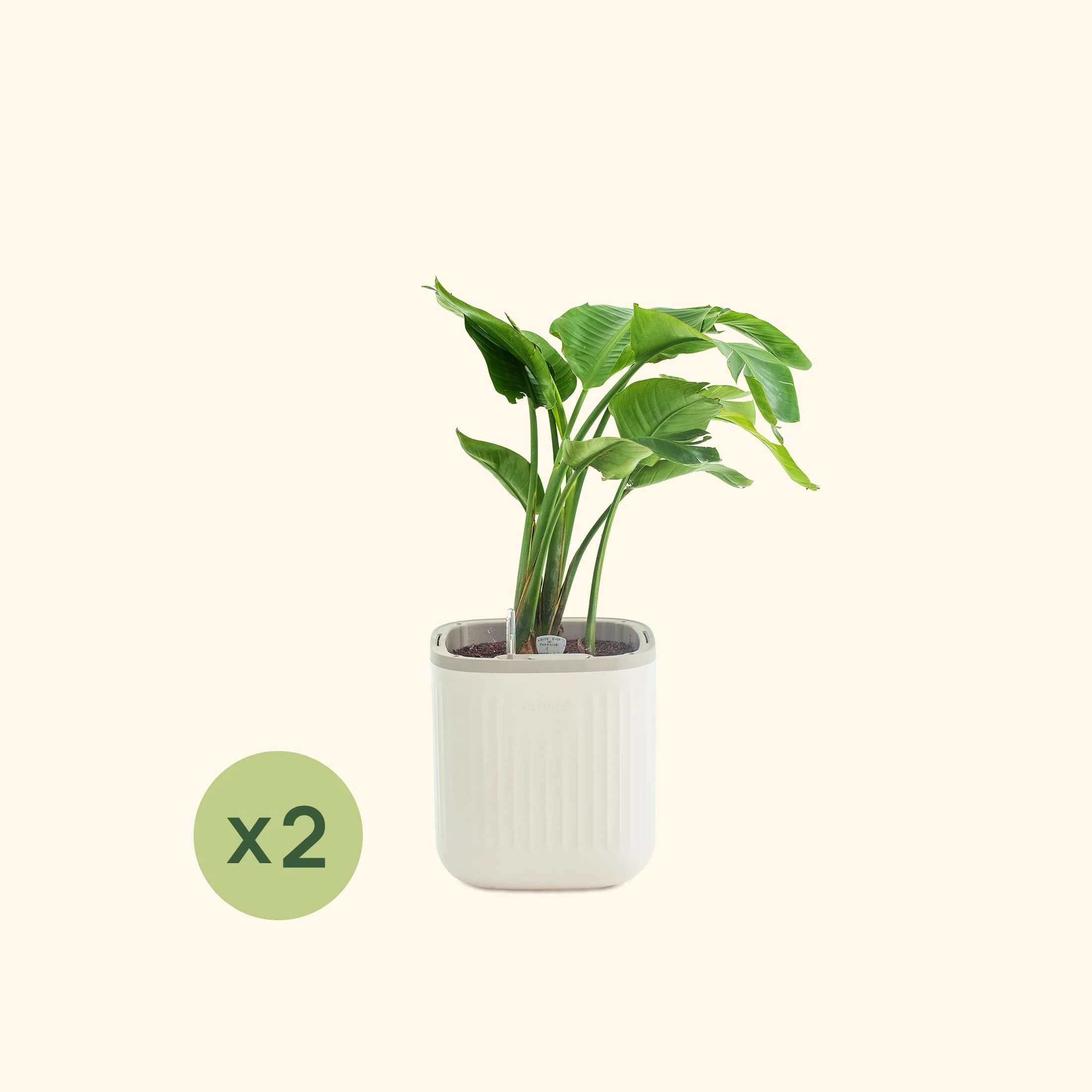 EZ Self-Watering Home Planter - Image 34