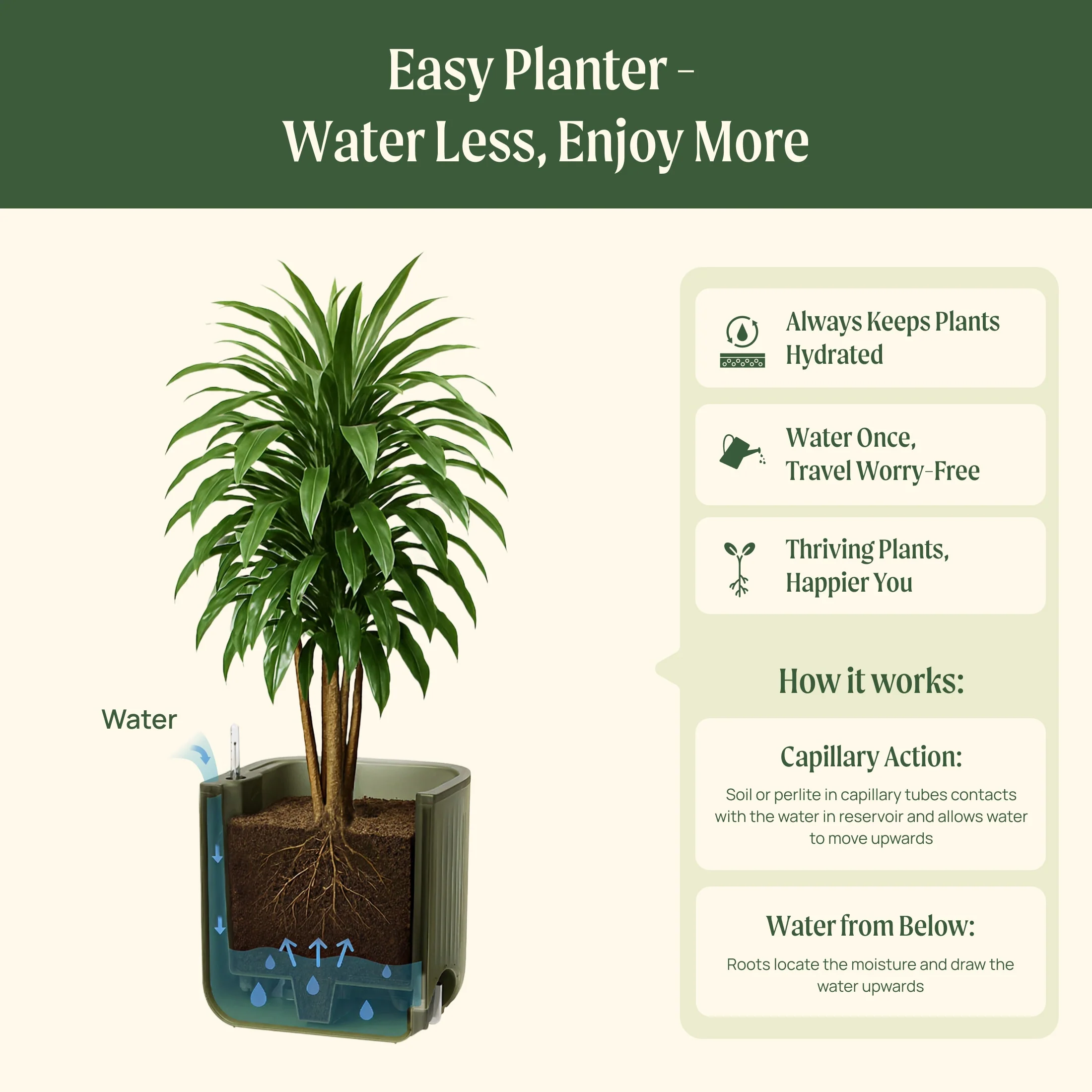 EZ Self-Watering Home Planter - Image 5