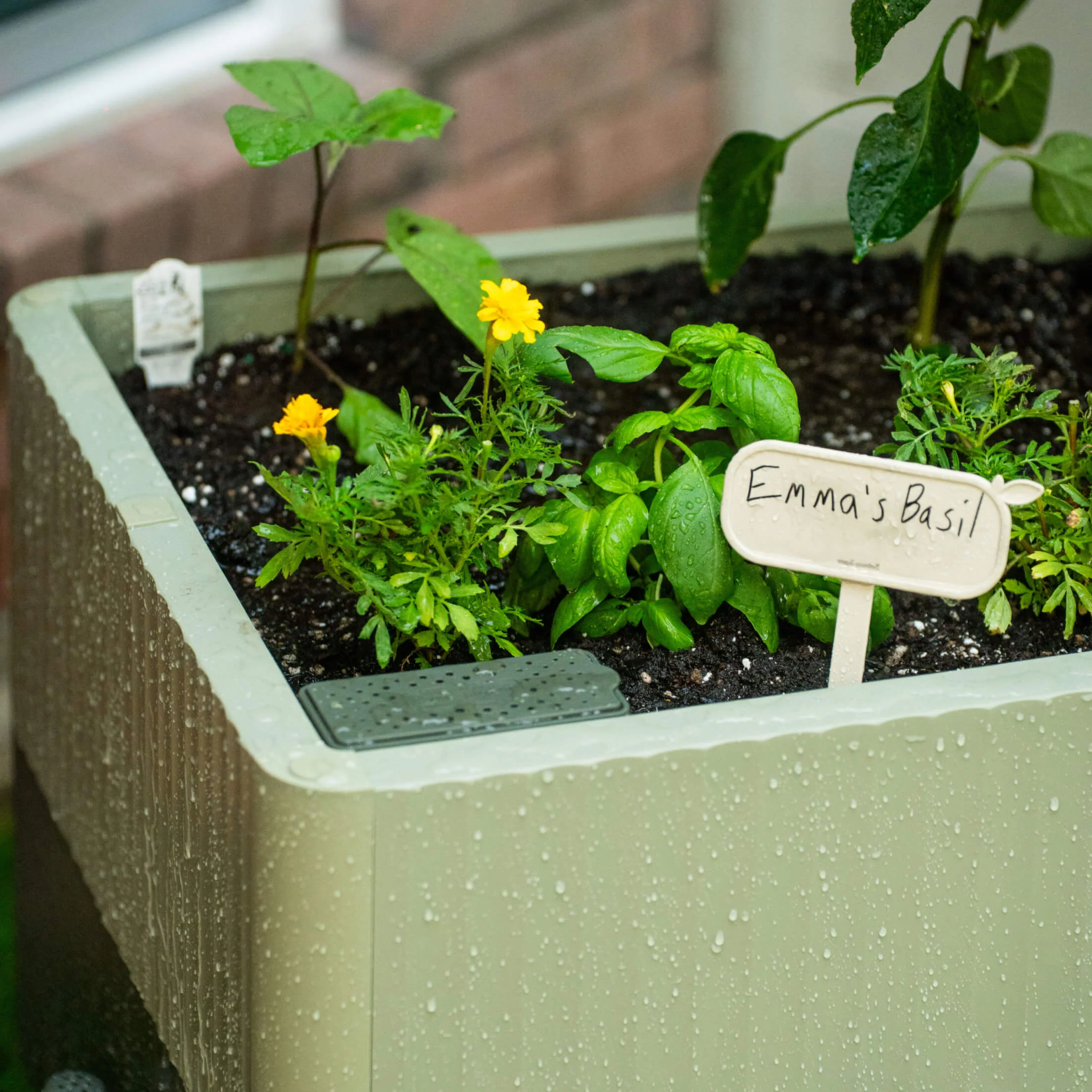 EZCube Self-Watering Planter 21" x 24" - Image 17