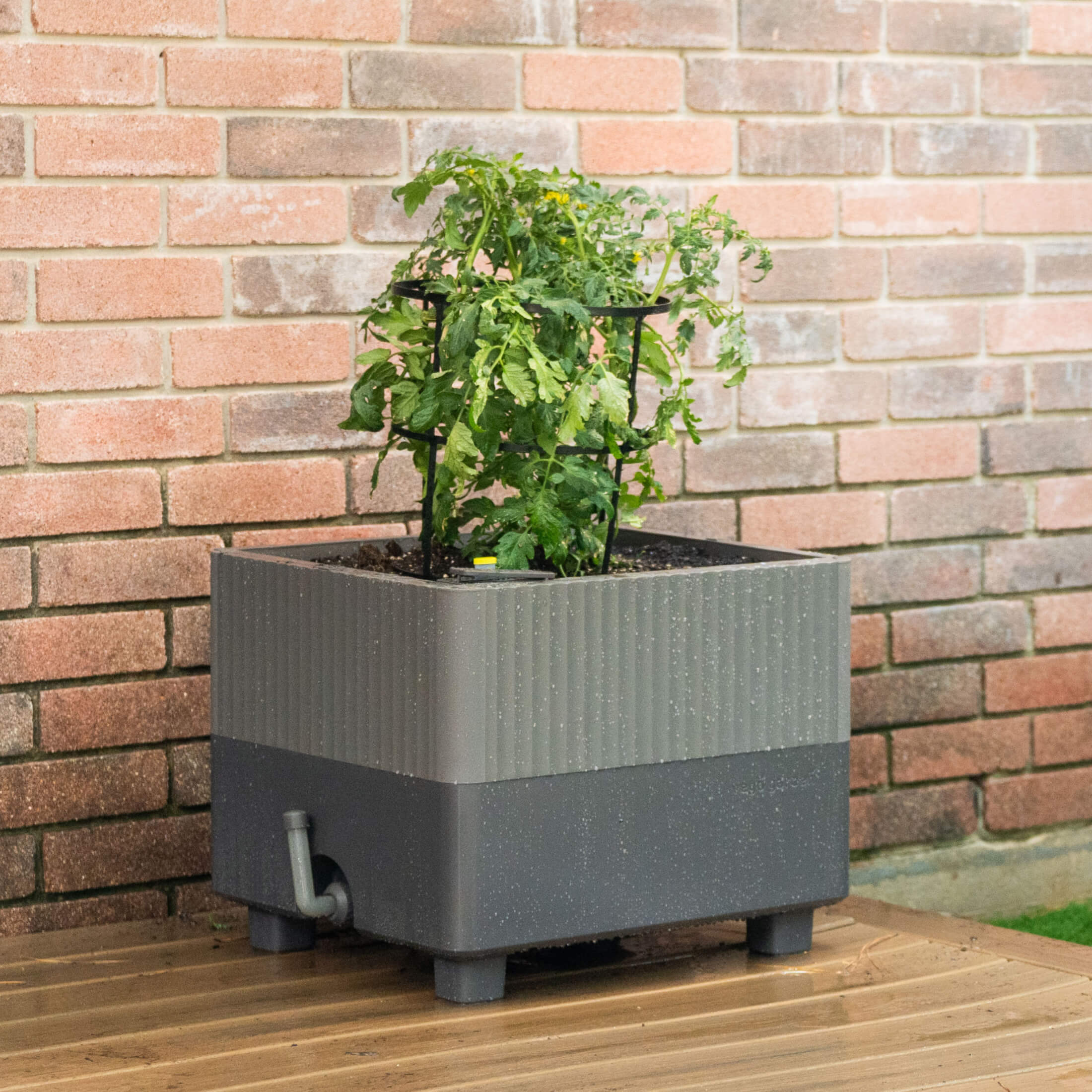EZCube Self-Watering Planter 21" x 24" - Image 21