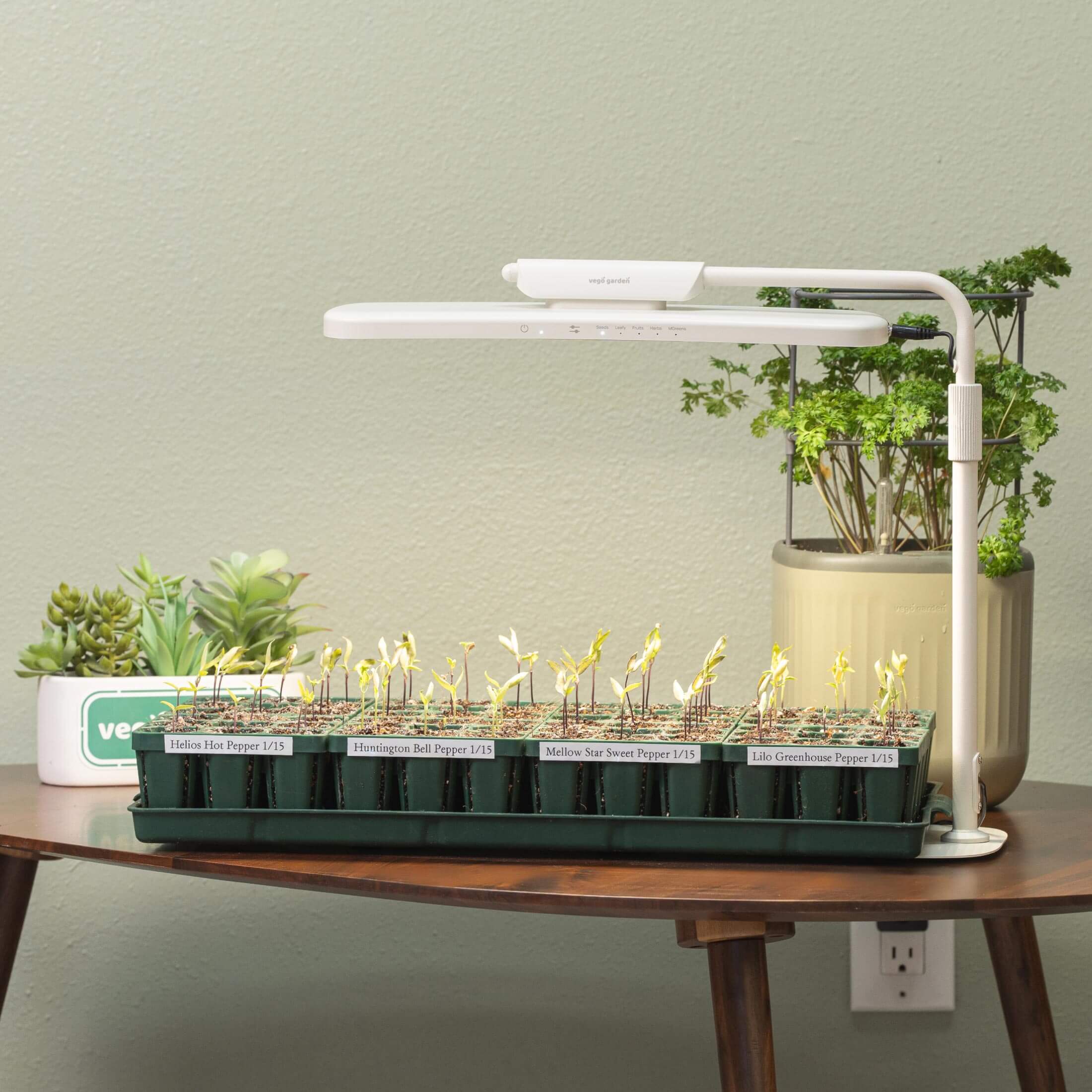 Grow Light Stand - Classic - Image 9