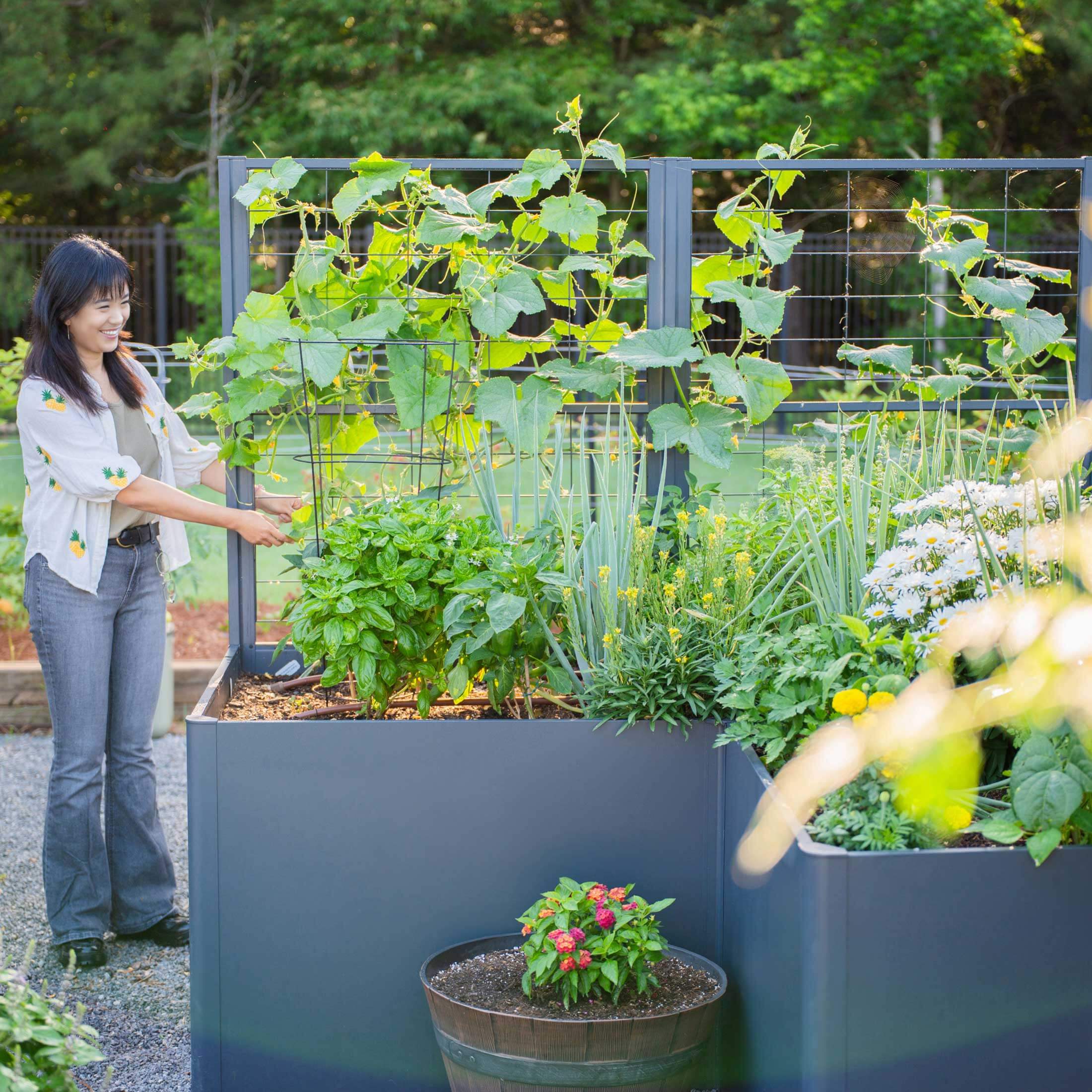 Vego Modern Privacy Trellis - Image 10